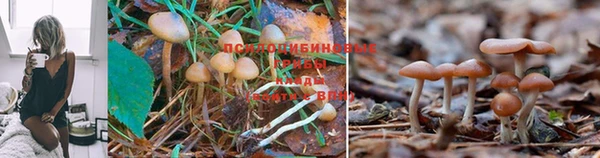 амфетамин Балабаново