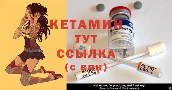 крисы Балахна