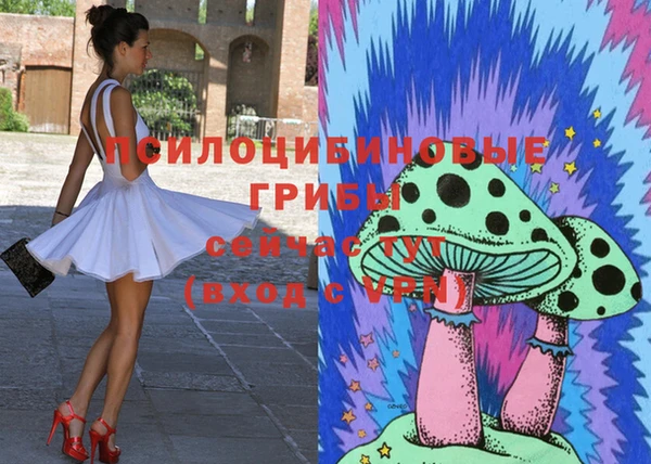 крисы Балахна