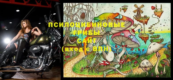 крисы Балахна