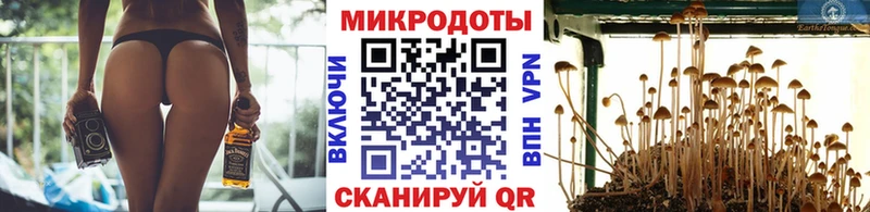 darknet состав  Красноармейск  Галлюциногенные грибы мицелий 